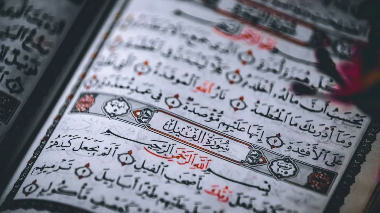 quran book reading quran